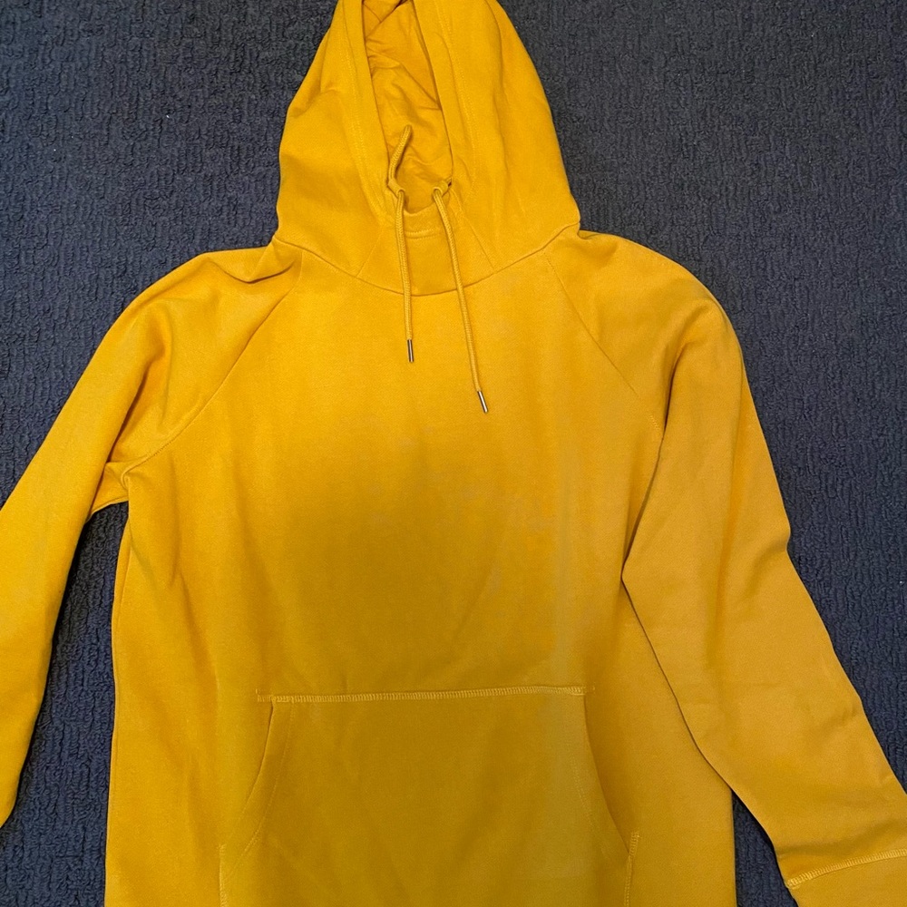 New Express Hoodie. Never worn with tags